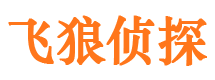 施秉市调查公司